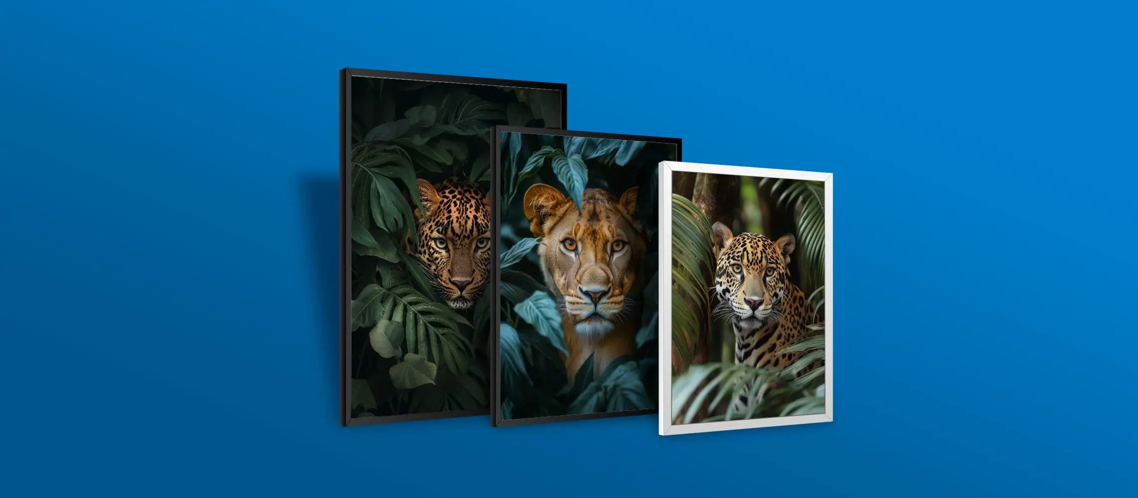 Quadros Decorativos